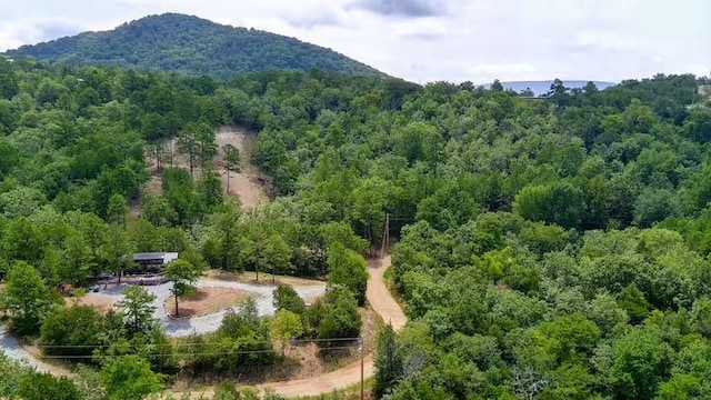 161720 N 4335th Rd, Clayton, OK 74536 - aerial view with a mountain view and a forest view