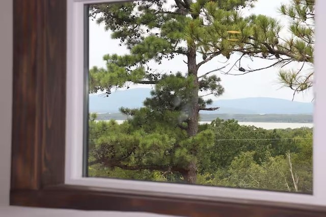 161720 N 4335th Rd, Clayton, OK 74536 - water view featuring a mountain view