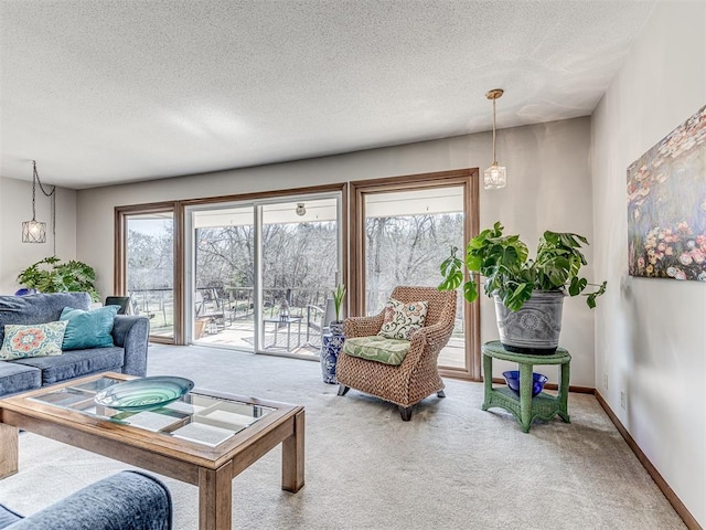 1802 N 15th St, Perry, OK 73077 - living room with carpet floors and a textured ceiling