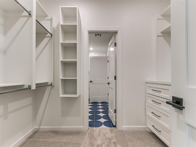 spacious closet with light colored carpet