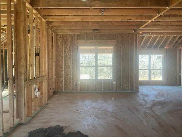 miscellaneous room with plenty of natural light