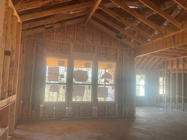 miscellaneous room with vaulted ceiling