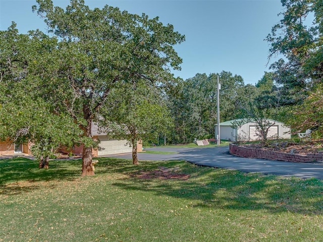 view of yard featuring a garage and driveway