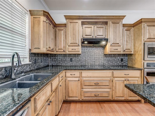 kitchen featuring light wood-style flooring, under cabinet range hood, a sink, ornamental molding, and appliances with stainless steel finishes