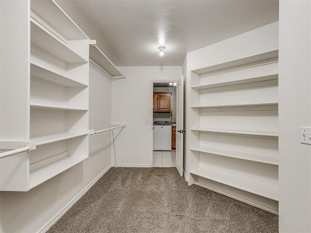 walk in closet with carpet flooring