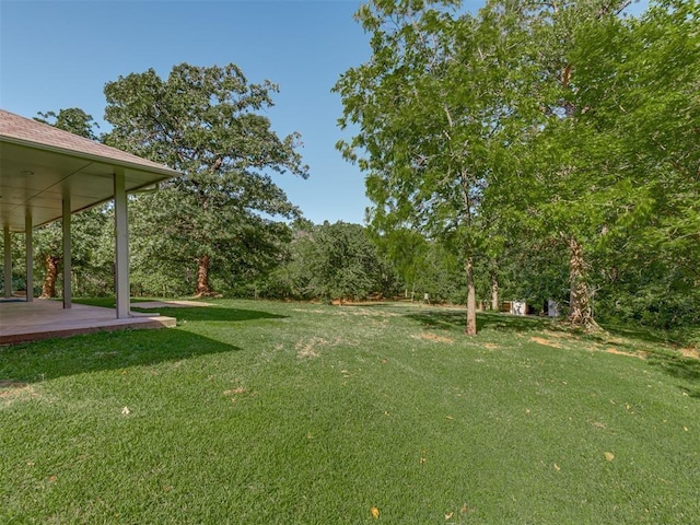 view of yard featuring a patio