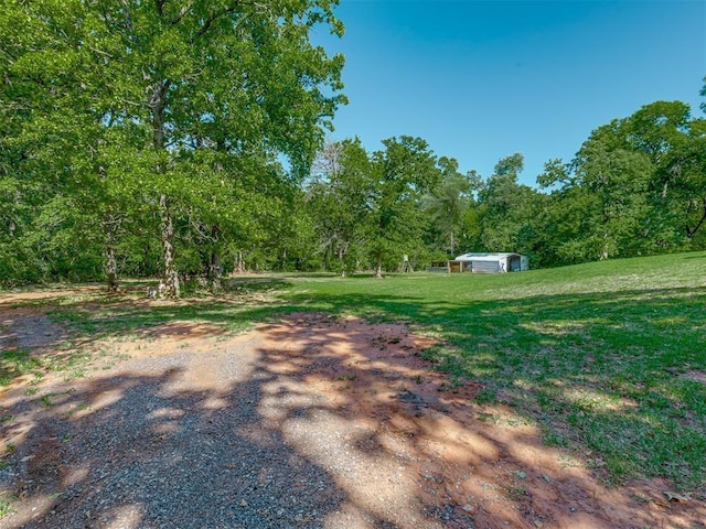 view of yard with an outdoor structure