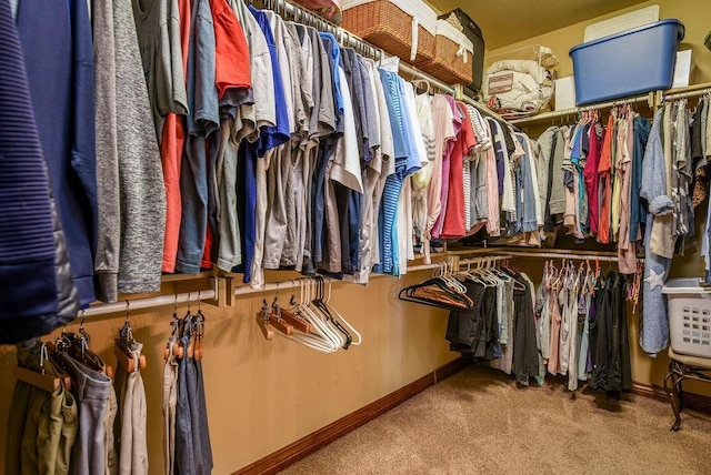 spacious closet with carpet floors