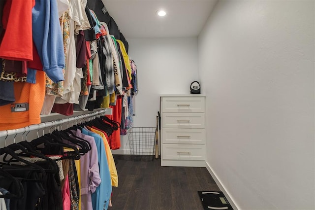 spacious closet featuring dark wood-style floors