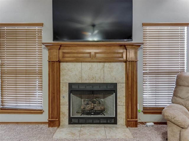 details featuring carpet, a fireplace, and baseboards