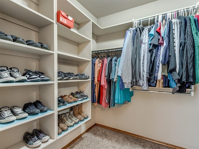 spacious closet featuring carpet flooring