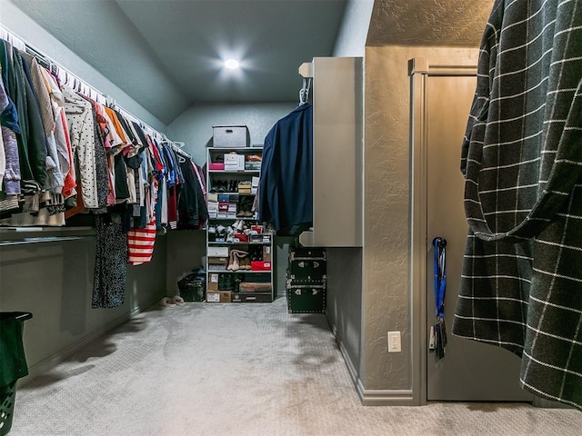 spacious closet with carpet flooring