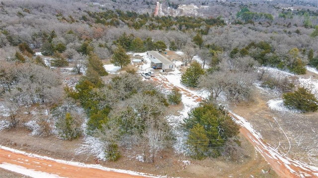 bird's eye view with a forest view