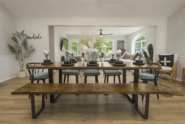 dining space with ceiling fan, light wood finished floors, and wainscoting