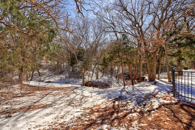 snowy yard with a gate