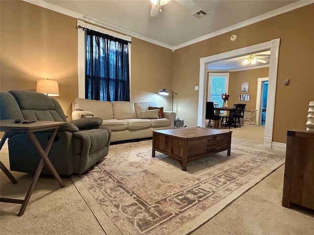 carpeted living room featuring ceiling fan, visible vents, and crown molding