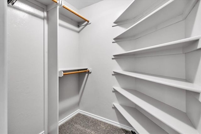 walk in closet featuring carpet