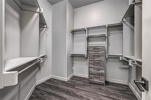 spacious closet featuring dark wood-type flooring