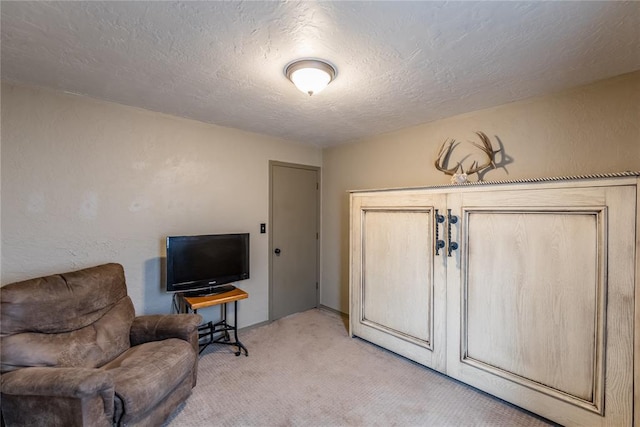 living area featuring light colored carpet and a textured ceiling