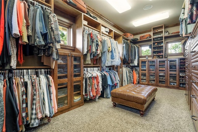 walk in closet with carpet