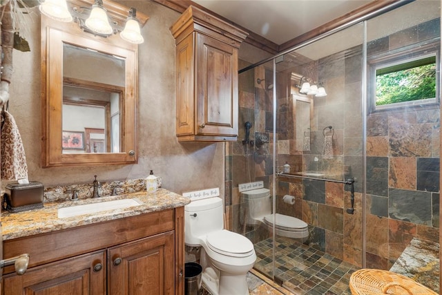 bathroom featuring a stall shower, vanity, and toilet