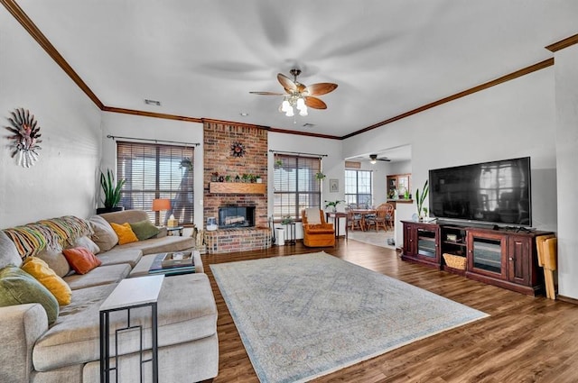 living room featuring a ceiling fan, dark wood finished floors, a fireplace, and ornamental molding