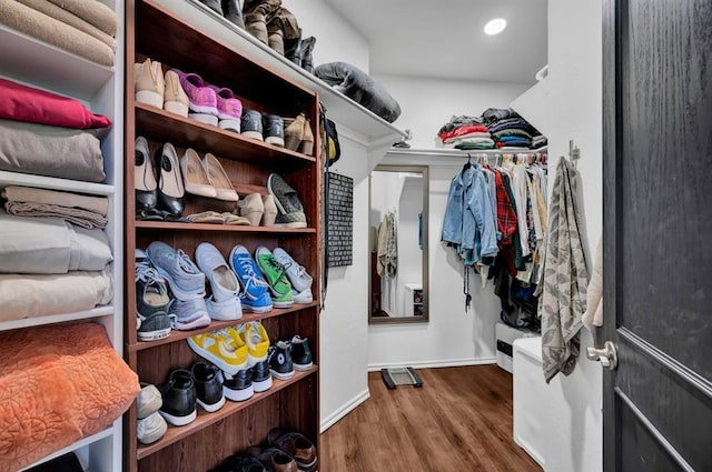 spacious closet featuring wood finished floors