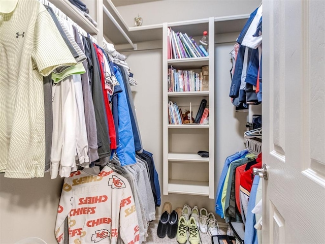 view of walk in closet