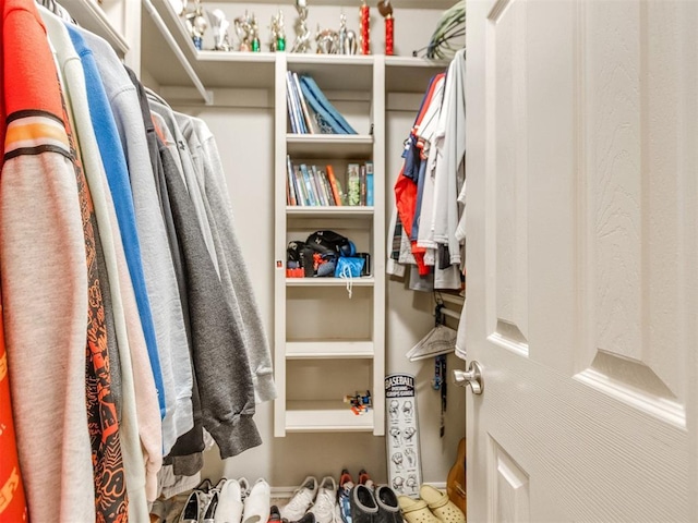 view of spacious closet