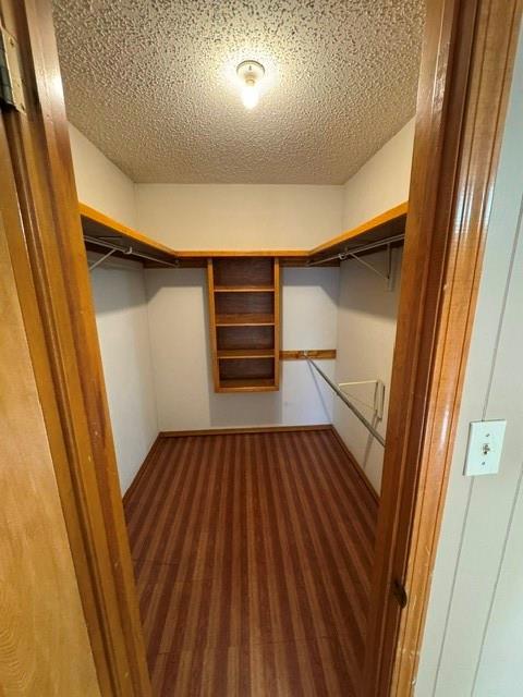 spacious closet with dark colored carpet