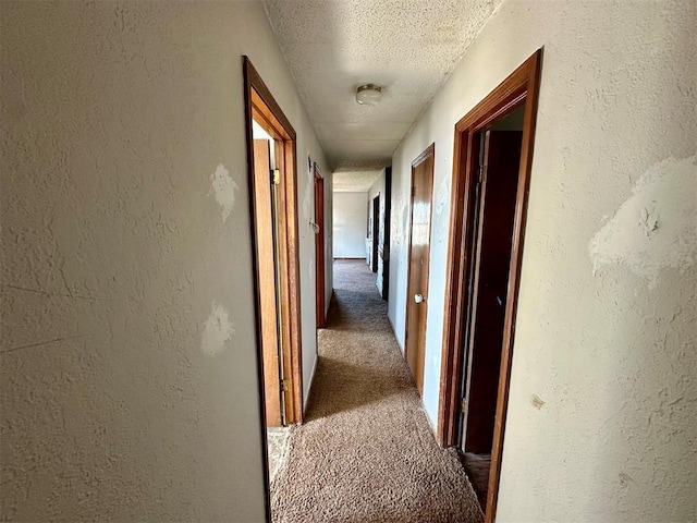 hall with a textured ceiling, carpet flooring, and a textured wall