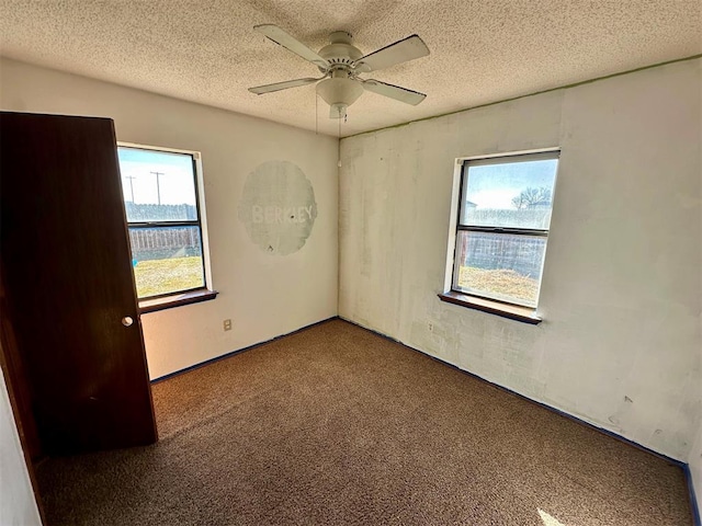 empty room featuring carpet floors, a wealth of natural light, and a textured ceiling