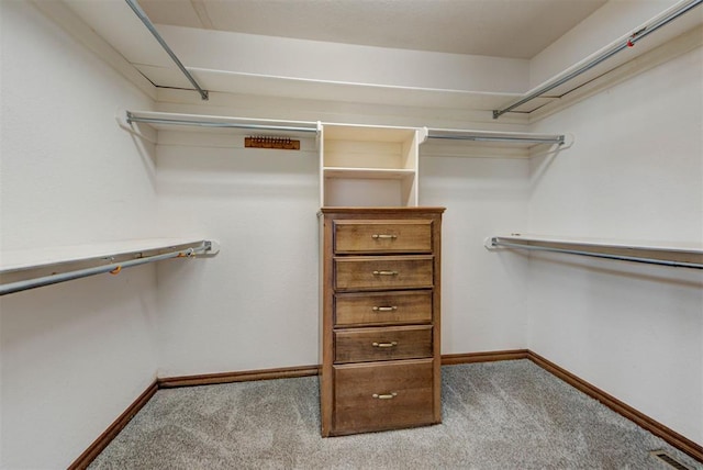 spacious closet featuring carpet and visible vents