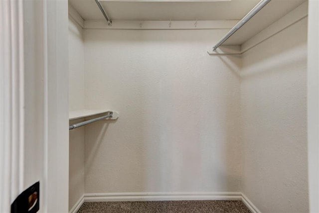 walk in closet featuring carpet floors