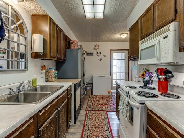 kitchen featuring light countertops, light wood-style flooring, a sink, a textured ceiling, and white appliances