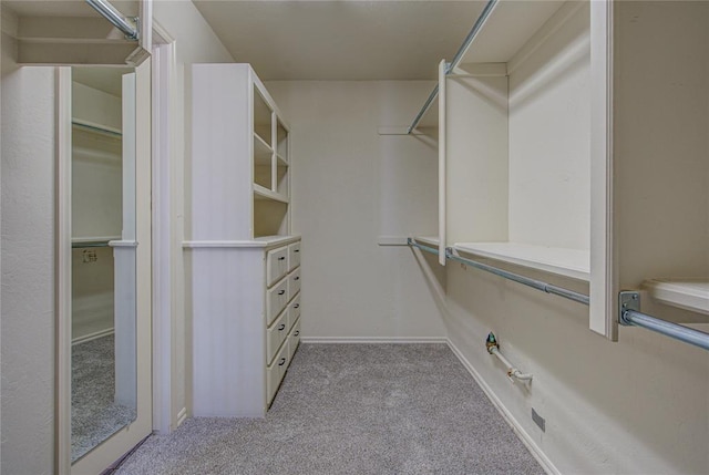 walk in closet with carpet flooring