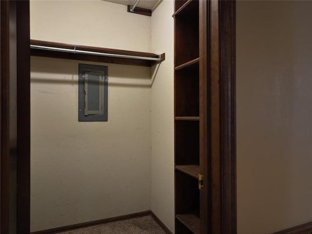 walk in closet featuring carpet floors and electric panel