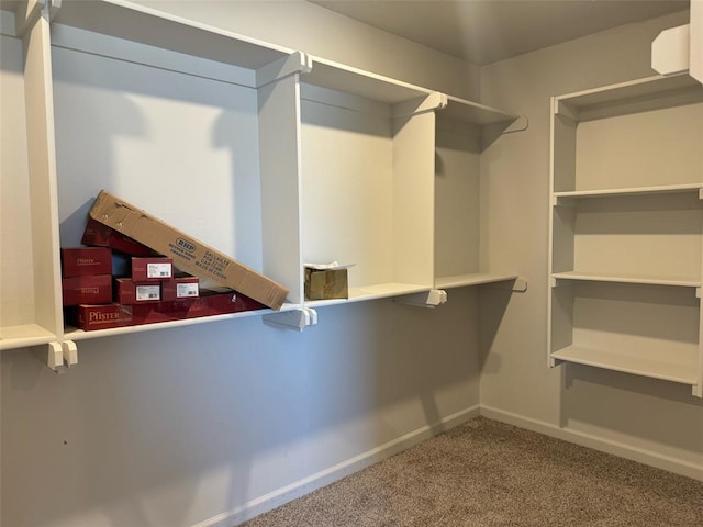 spacious closet with carpet