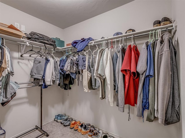 spacious closet featuring carpet flooring