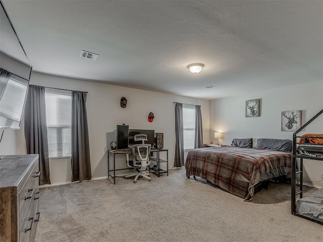 42056 Cadens Trl, Shawnee, OK 74804 - bedroom with carpet and an office area