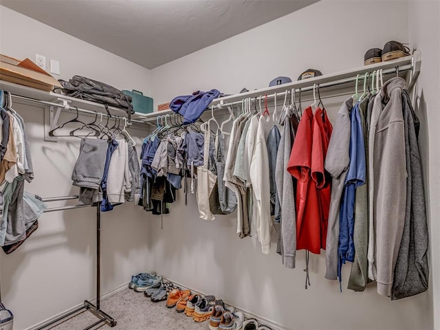 42056 Cadens Trl, Shawnee, OK 74804 - walk in closet with carpet flooring