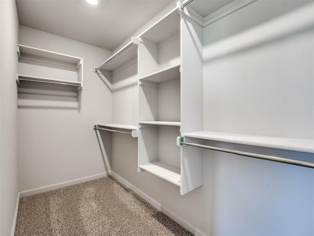 walk in closet featuring carpet floors