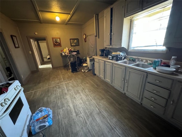 kitchen with gray cabinets, a sink, and wood finished floors