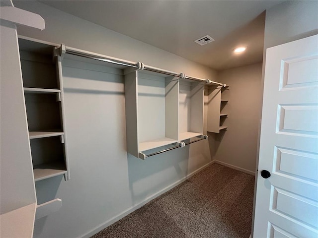 walk in closet with visible vents and carpet flooring