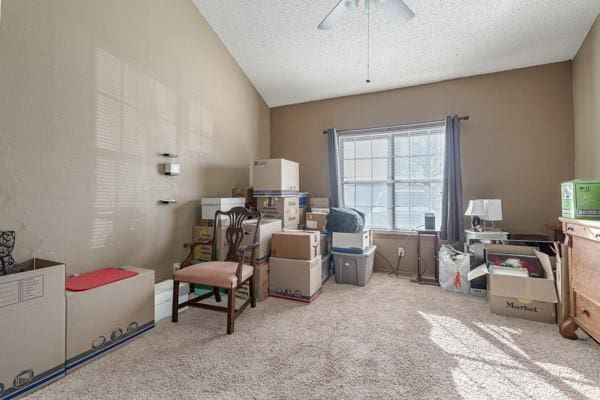 storage featuring a ceiling fan