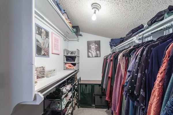 walk in closet featuring lofted ceiling and carpet flooring