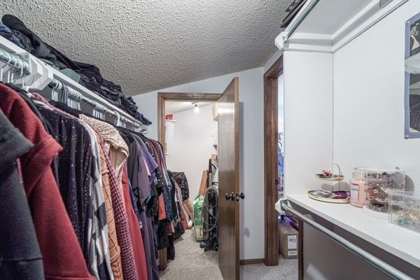 walk in closet featuring light carpet