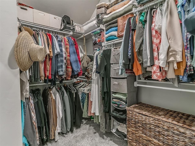 spacious closet with carpet