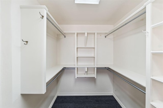 spacious closet with carpet floors