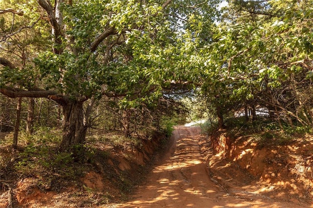 view of local wilderness